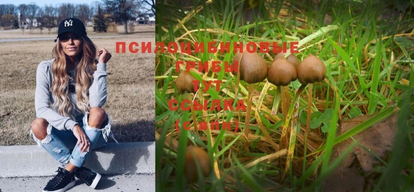 прущие крисы Баксан