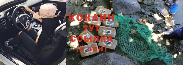 прущие грибы Балабаново