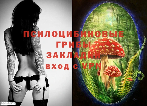 кокаин Богородицк