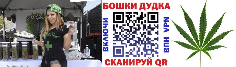 Конопля Amnesia  Орск 